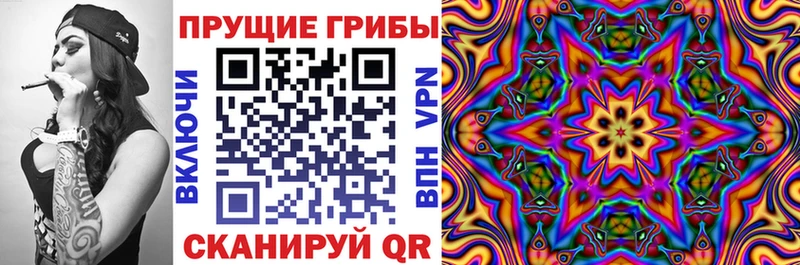 Псилоцибиновые грибы Psilocybine cubensis  OMG ссылки  Усолье-Сибирское 
