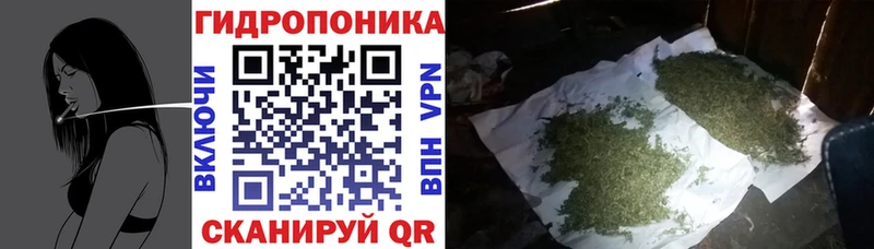 Бошки марихуана ГИДРОПОН  Усолье-Сибирское 